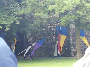pagdoverflags2.jpg